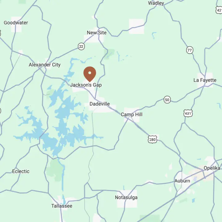 Lake Martin service area map