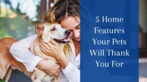 5 Home Features Your Pets Will Thank You For