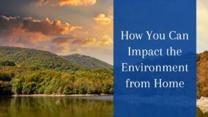 How You Can Impact the Environment from Home